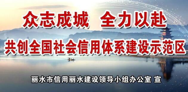 共创全国社会信用体系建设示范区